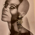 Zircon Earrings jewelry