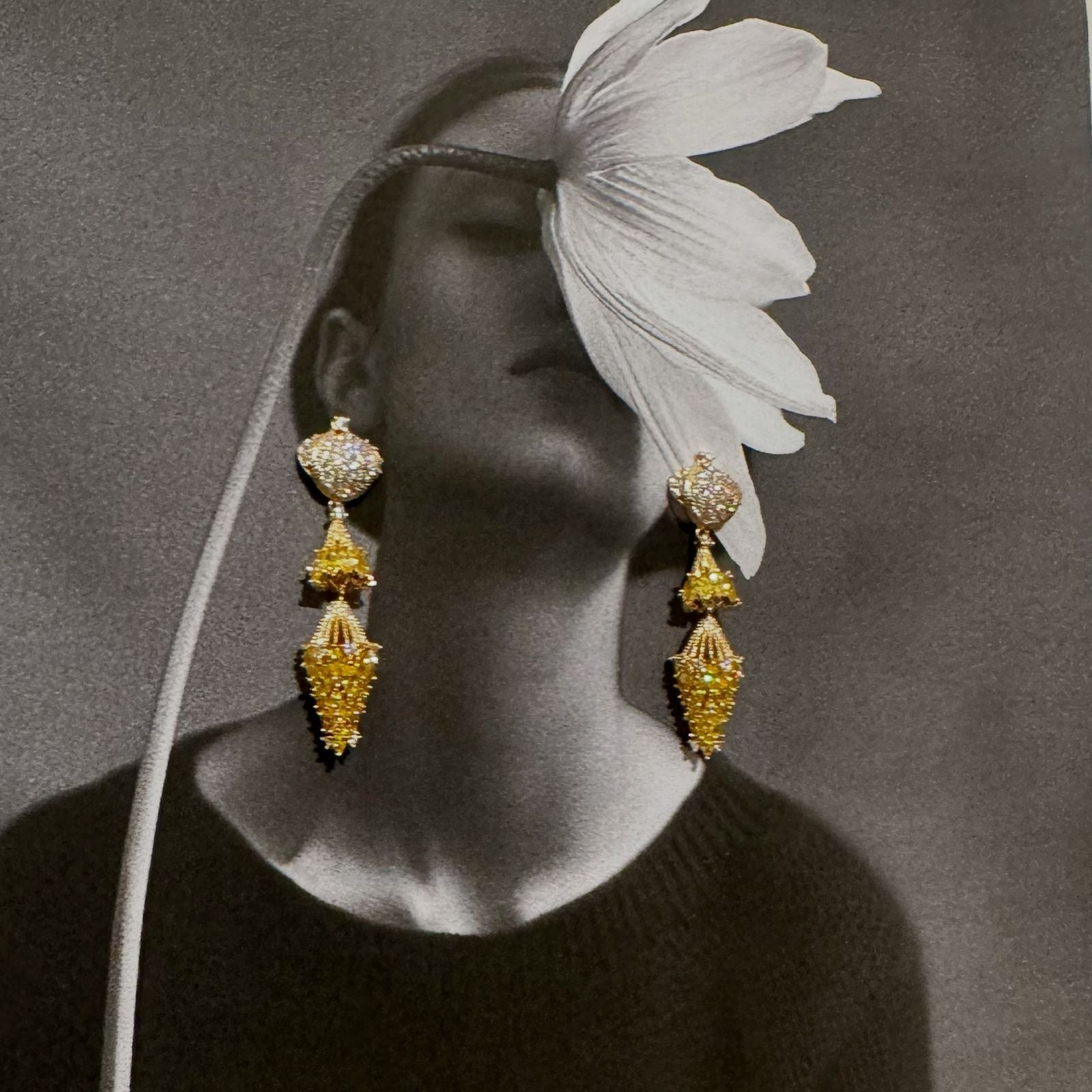 Exquisite zircon long temperament luxury earrings