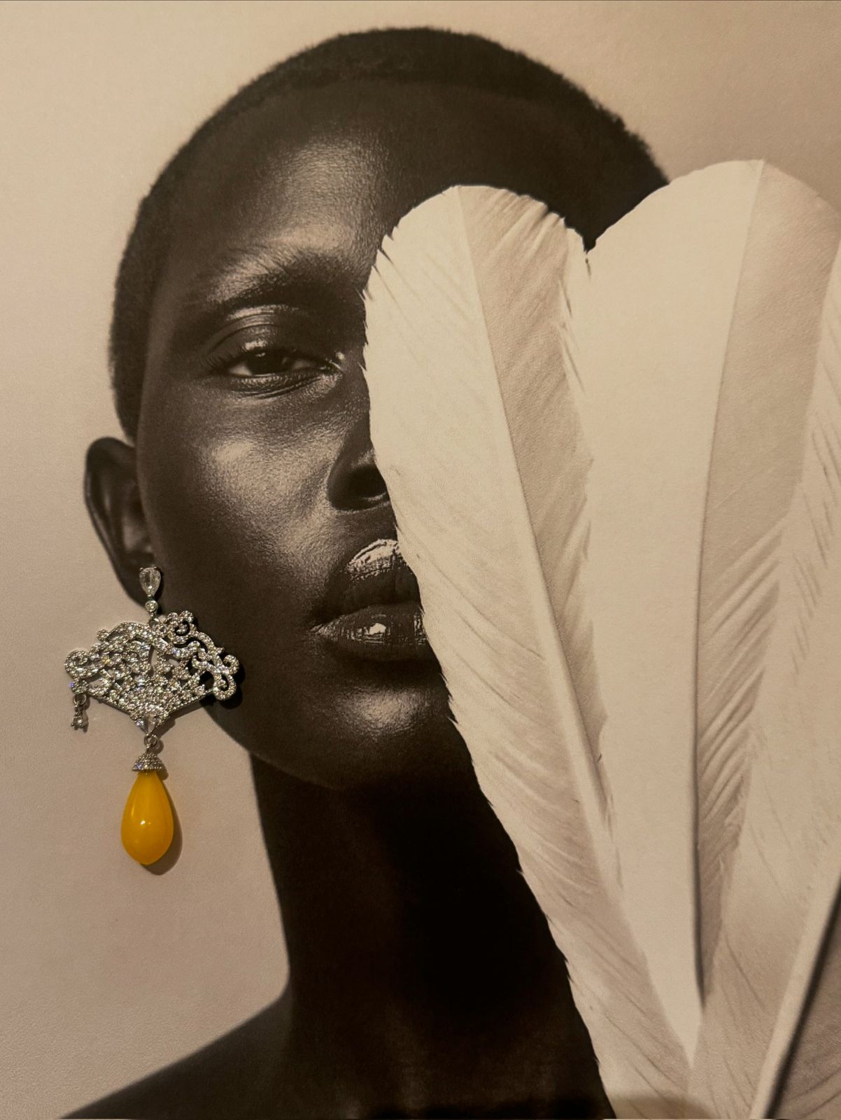 Golden Amber Tassel Zircon Earrings