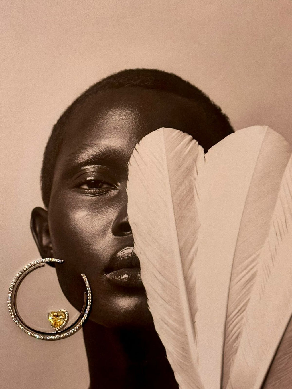 Luxury Zircon Hoop Earrings